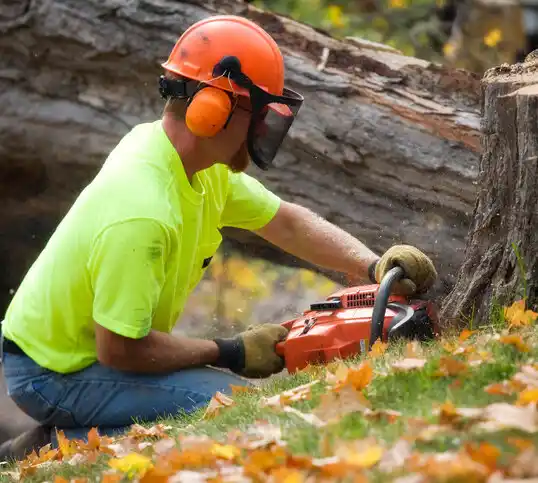 tree services Farwell